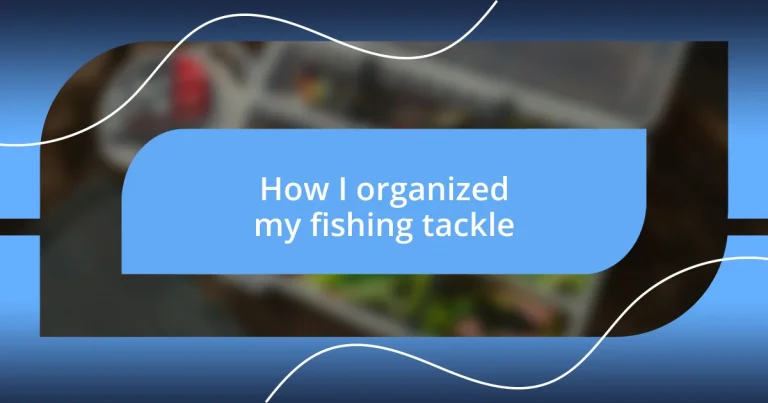 How I organized my fishing tackle